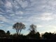 Late afternoon skyline, Concord California, Feb 2020